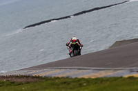 PJ-Motorsport-2019;anglesey-no-limits-trackday;anglesey-photographs;anglesey-trackday-photographs;enduro-digital-images;event-digital-images;eventdigitalimages;no-limits-trackdays;peter-wileman-photography;racing-digital-images;trac-mon;trackday-digital-images;trackday-photos;ty-croes